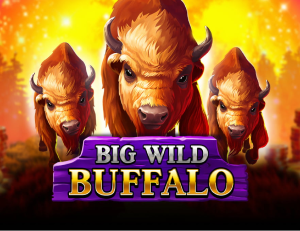 Big Wild Buffalo