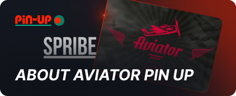 Pin Up Aviator Game Description