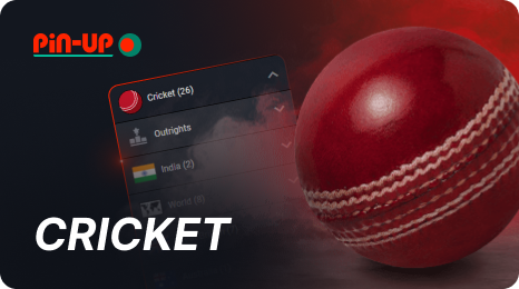 Cricket Betting at Pin Up Bangladesh