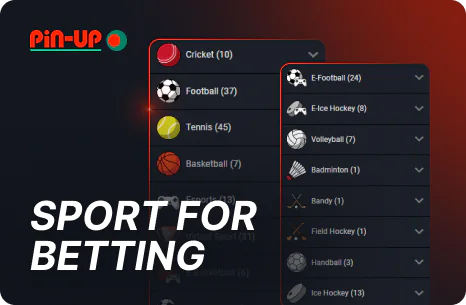 Sports Available for Betting in Pin Up Bangladesh