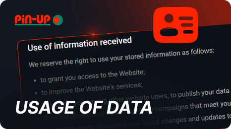 How Pin Up uses user data